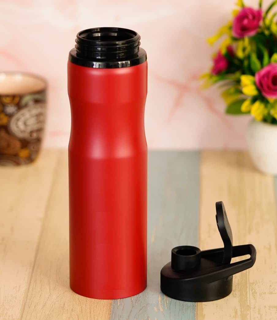 Stainless Steel Leak Proof Sports Water Bottle | Mat Finish | 800 ML