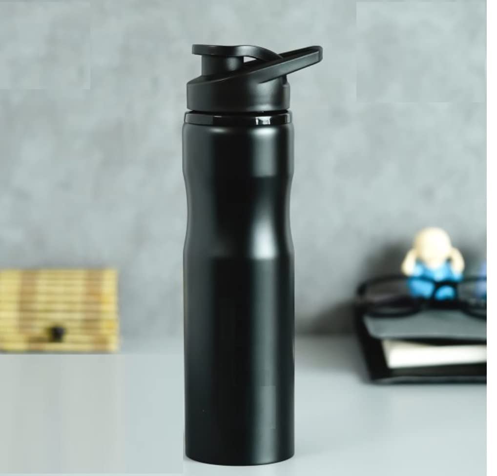 Stainless Steel Leak Proof Sports Water Bottle | Mat Finish | 800 ML