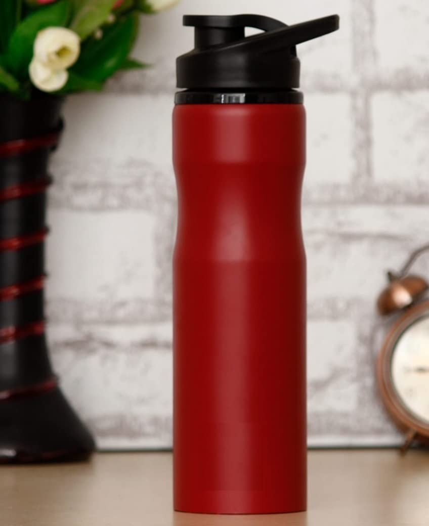 Stainless Steel Leak Proof Sports Water Bottle | Mat Finish | 800 ML